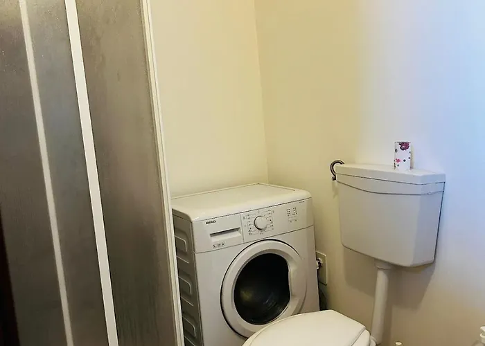Apartment Parco Dora Happiness Corner *